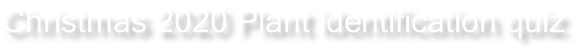 Christmas 2020 Plant identification quiz