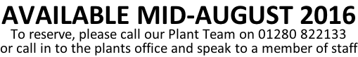 AVAILABLE MID-AUGUST 2016 To reserve, please call our Plant Team on 01280 822133 or call in to the plants office and speak to a member of staff