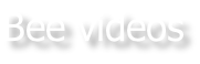 Bee videos